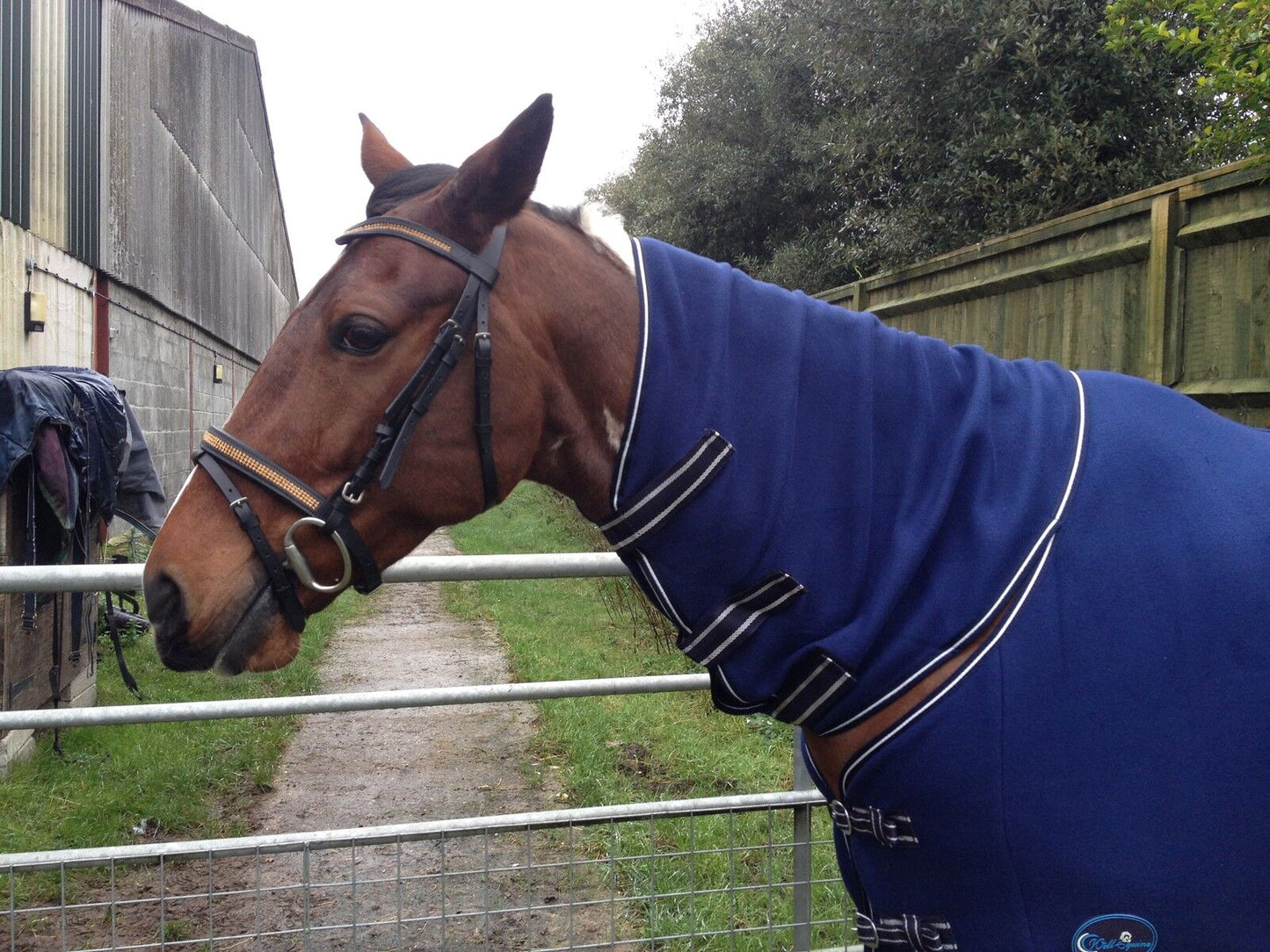 NEW Deluxe show combo fleece cooler full neck cover travel stable horse rugs