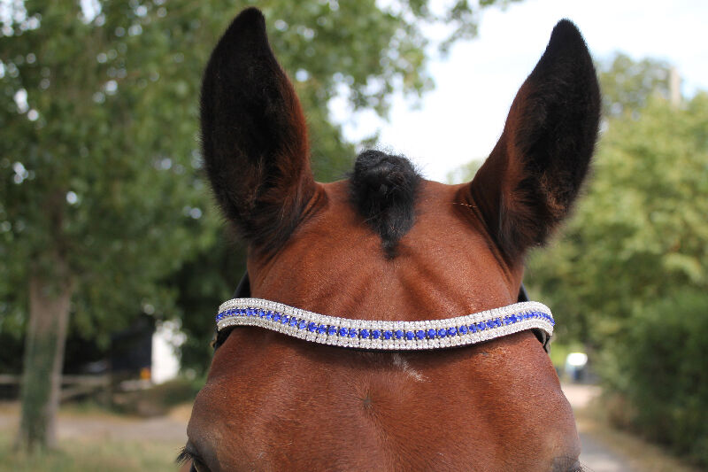 New Designer Look U Topaz coloured Crystal Browband Great Gift *offer* BLACK