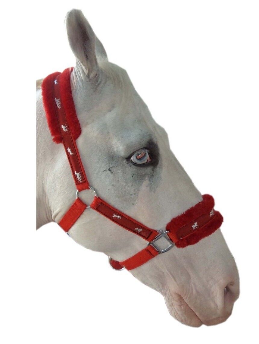New Mink padded HORSE COB PONY Nylon Halters/Headcollar Horse Print Lead set