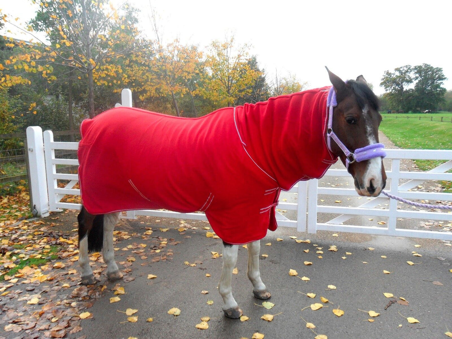 NEW Deluxe show combo fleece cooler full neck cover travel stable horse rugs