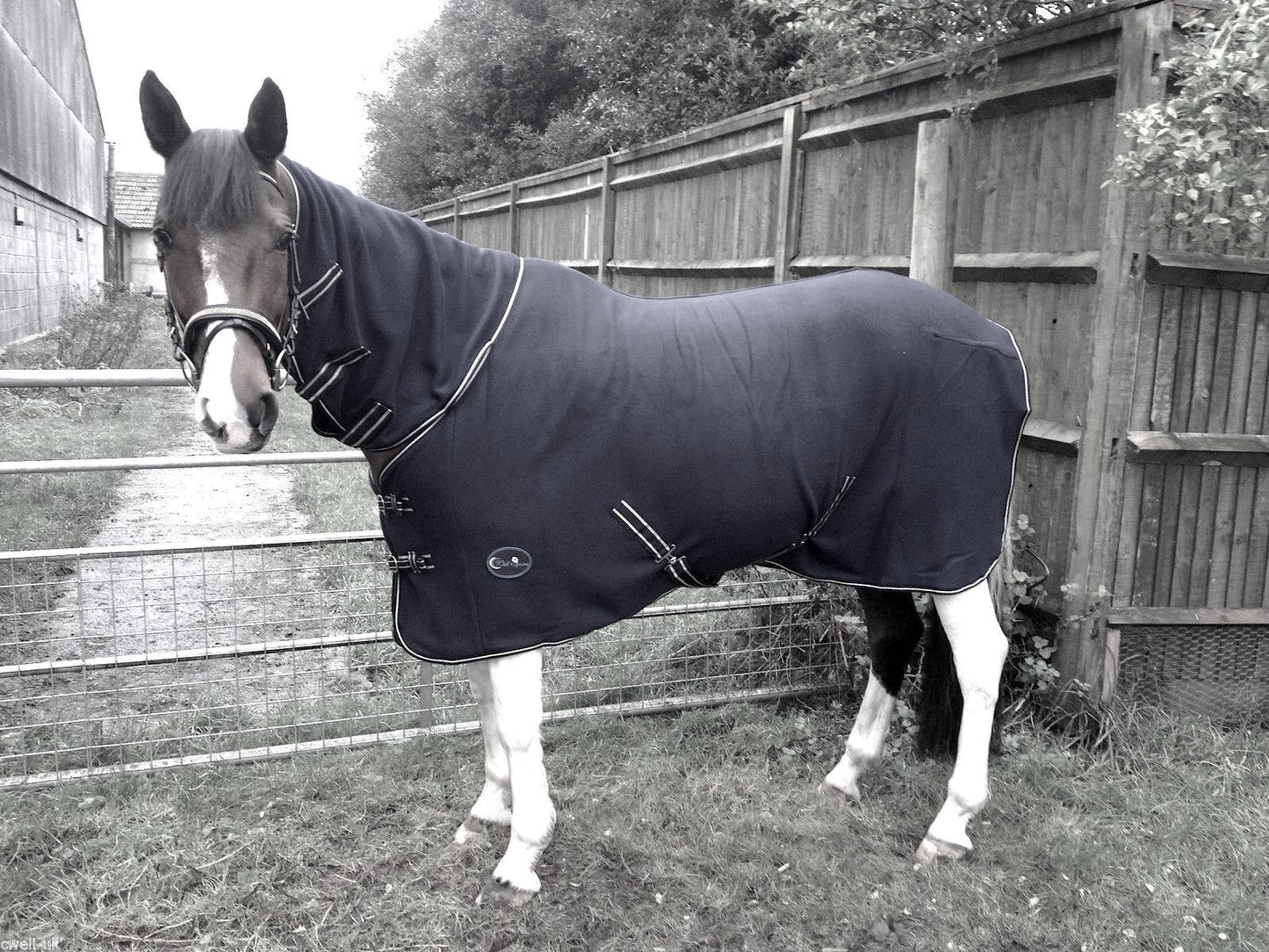 NEW Deluxe show combo fleece cooler full neck cover travel stable horse rugs