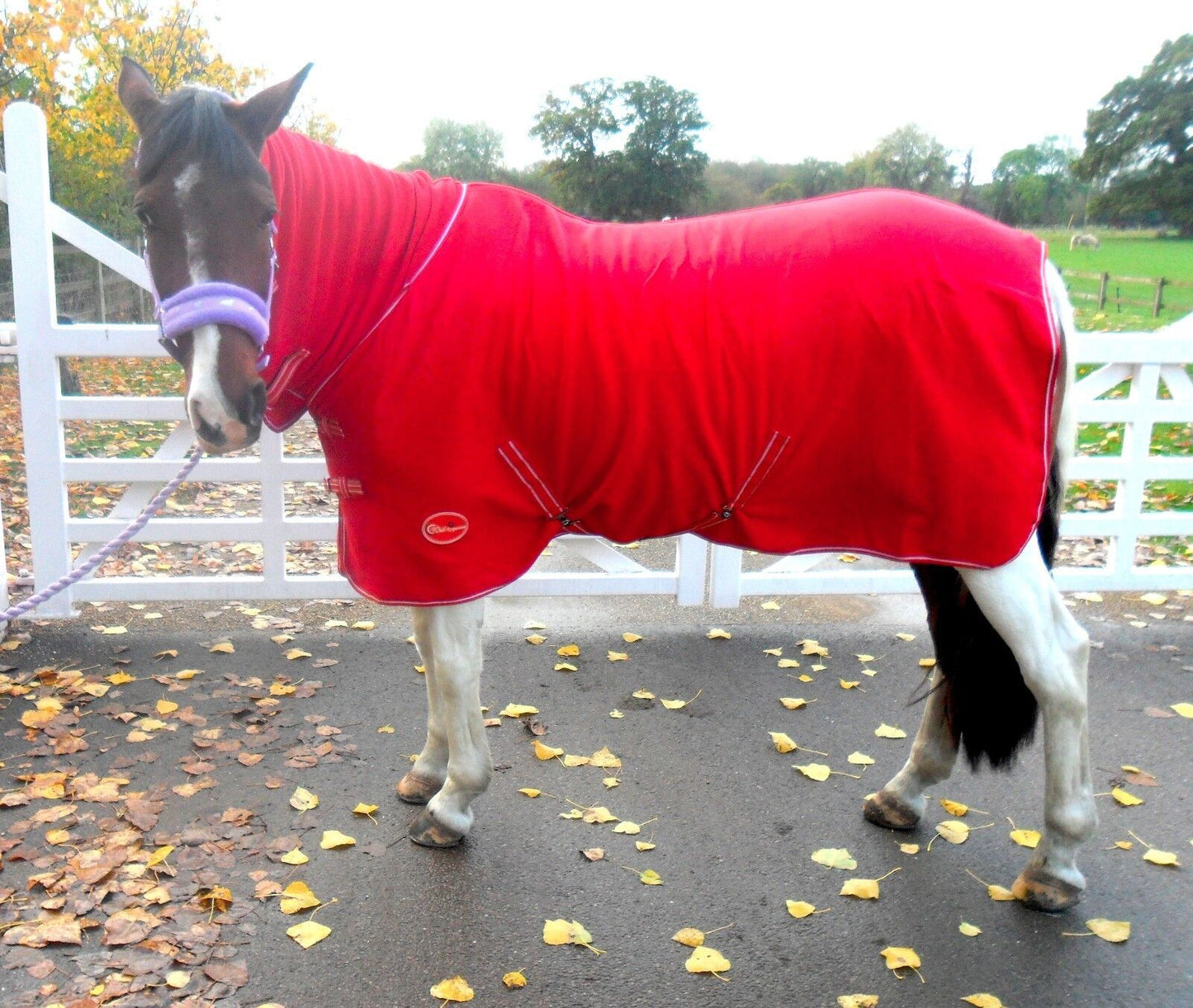 NEW Deluxe show combo fleece cooler full neck cover travel stable horse rugs