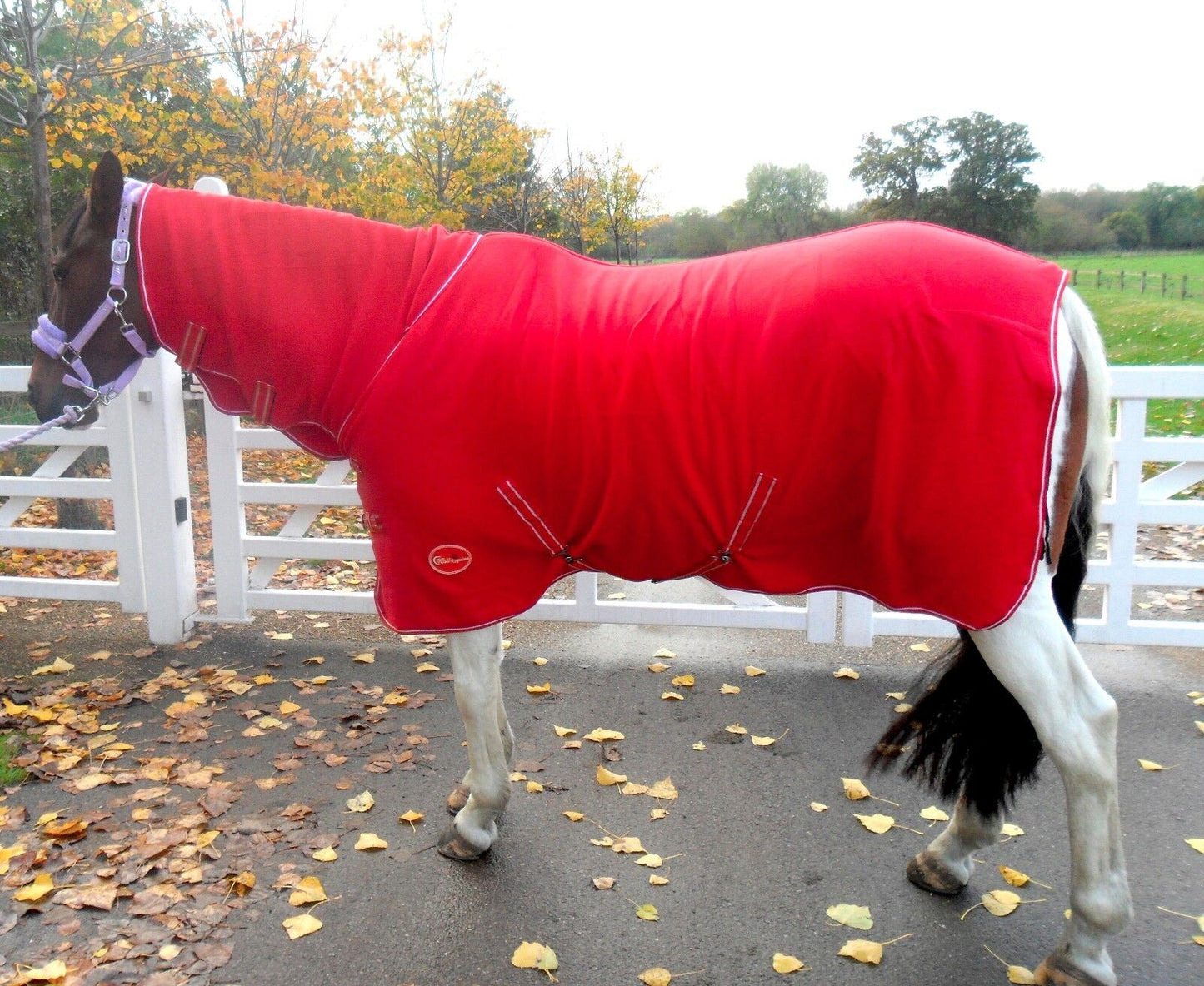 NEW Deluxe show combo fleece cooler full neck cover travel stable horse rugs