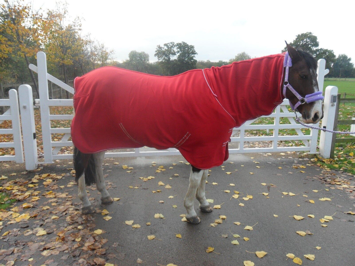 NEW Deluxe show combo fleece cooler full neck cover travel stable horse rugs