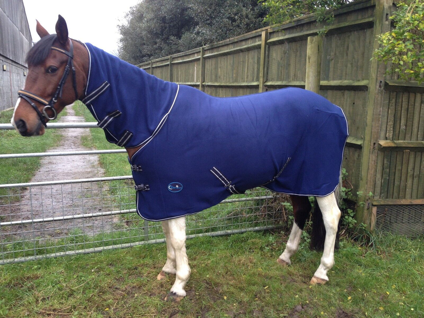 NEW Deluxe show combo fleece cooler full neck cover travel stable horse rugs