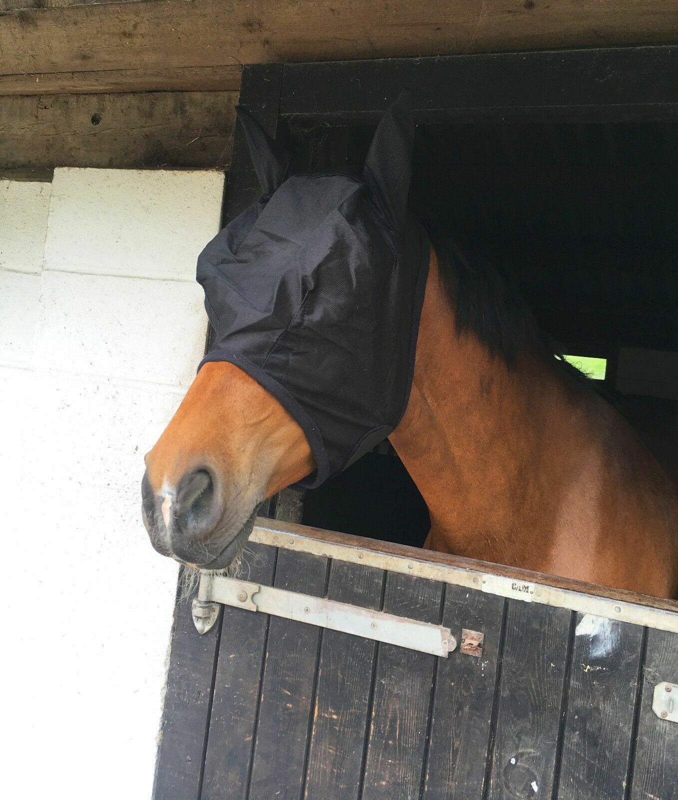 NEW SHETLAND/HORSE/COB/PONY MESH FLY MASK HOOD WITH EARS BEST SELLER BARGAIN