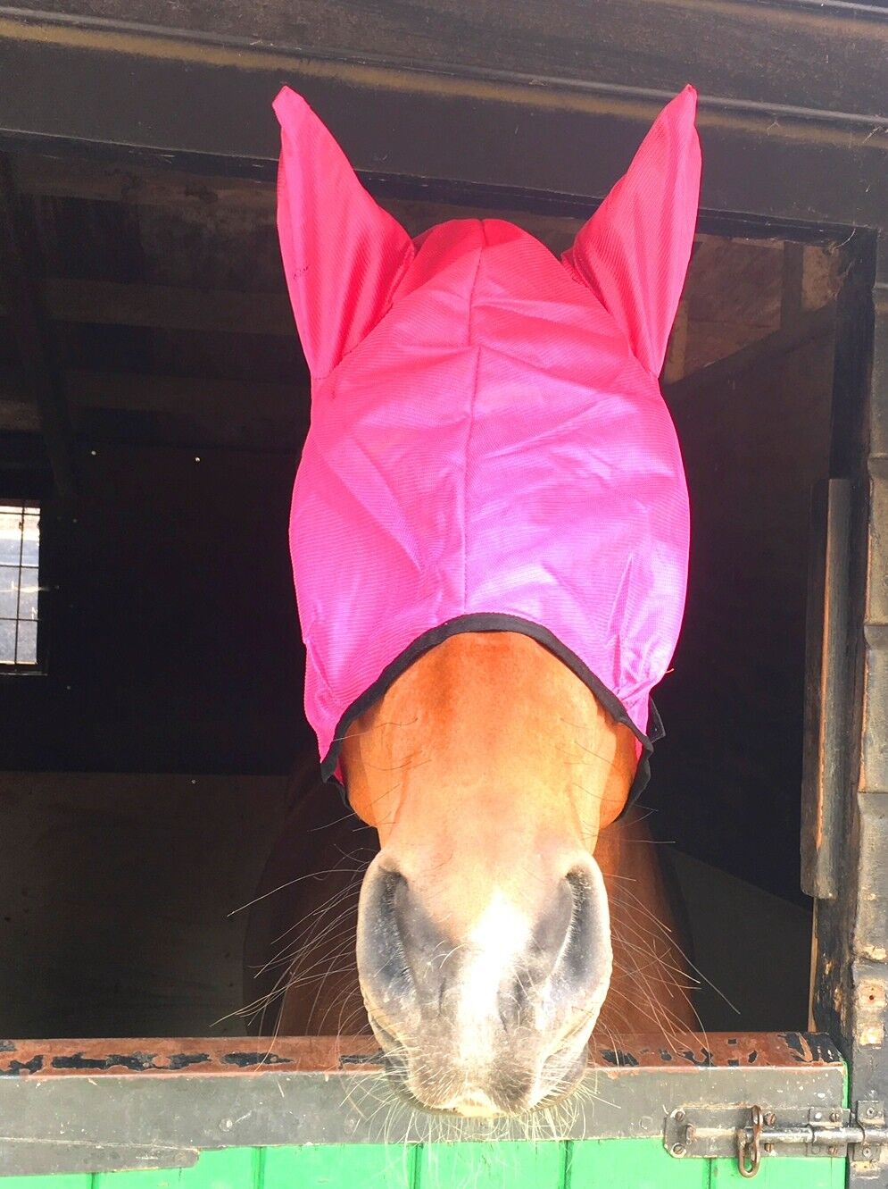 NEW HORSE MESH FLY MASK WITH EARS DARK PINK - FREE P/P on sale