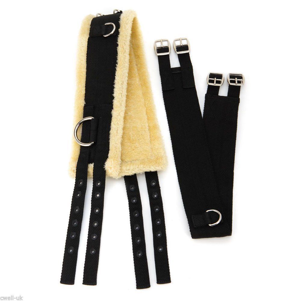 Horse Lunging Training Aids Pessoa based Black + Synthetic Training roller