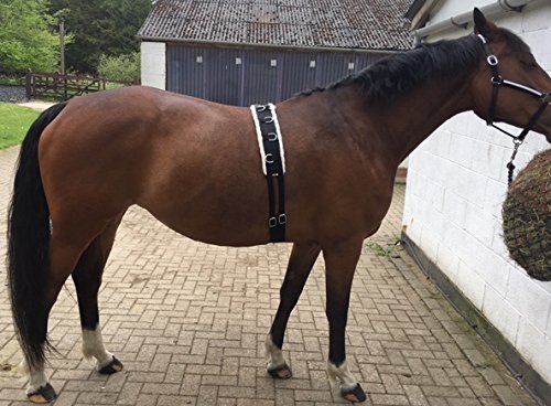 Cwell Equine Synthetic Fleece PAD LUNGE BREAKING TRAINING ROLLER + adjustable girth BLACK F/C/P