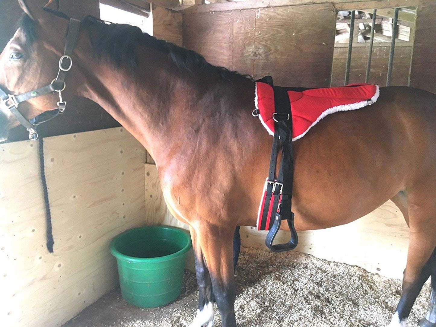 Cwell Equine MICRO SUEDE BAREBACK PAD FREE GIRTH AND STIRRUPS SADDLE PAD