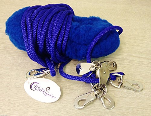 Cwell Equine New Horse Lunging Training Aid Pessoa based (one size fits all) Choice of colors