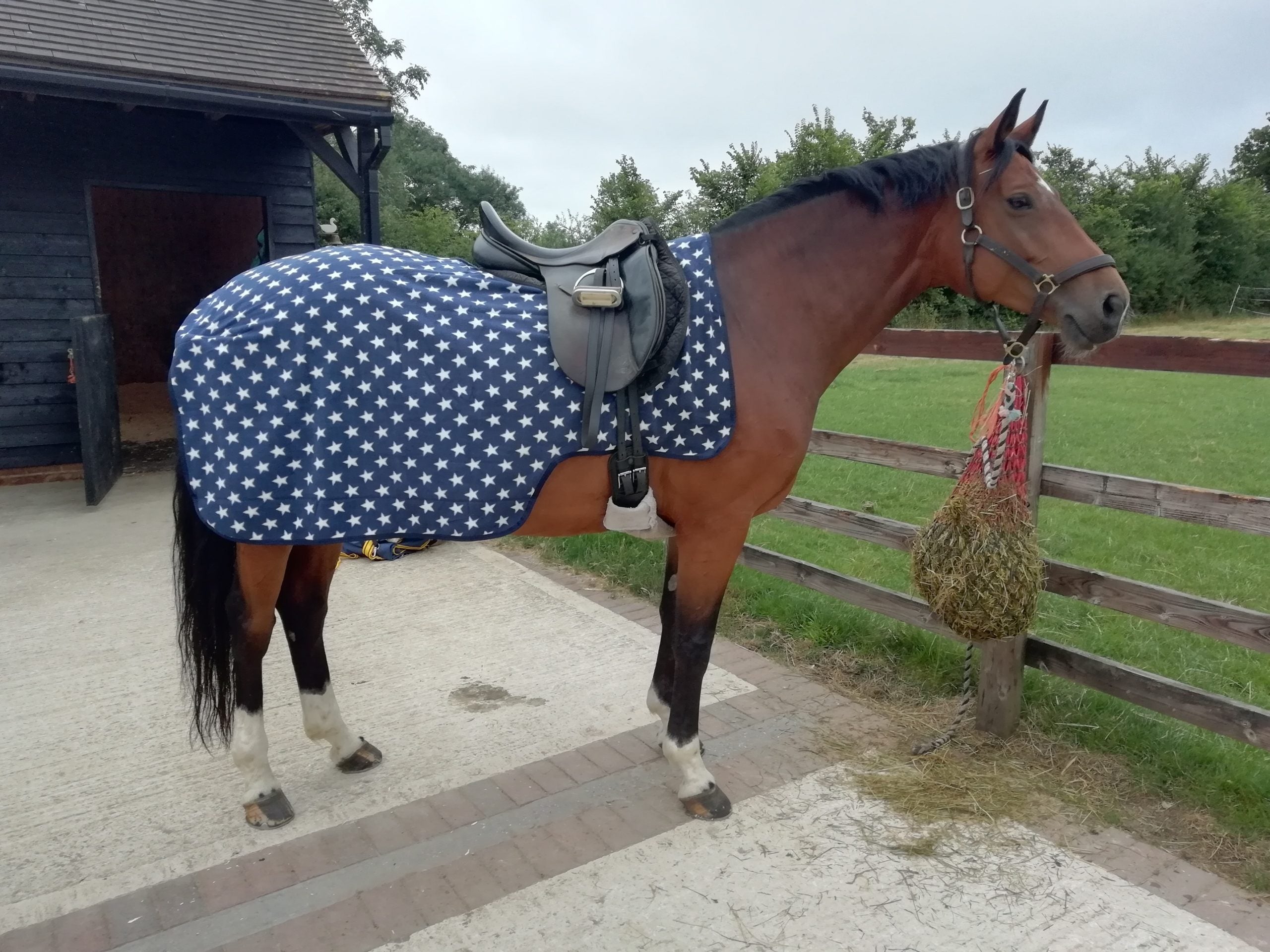 Frontalino Equino CWELL V Split - Pelle Nera Con Cristalli, Taglia Pony Frontalino Equino CWELL V Split - Pelle Nera Con Cristalli, Taglia Pony