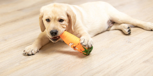 DOG TOYS