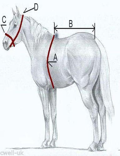 6571157