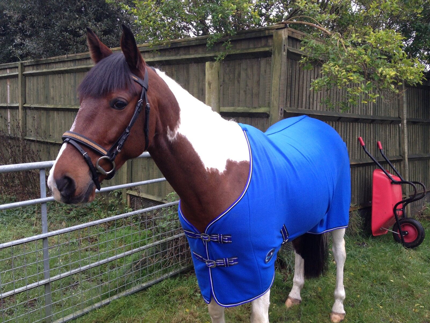 NEW HORSE COB PONY SHOW TRAVEL FLEECE RUG 3'6-7'0" stable cooler choice of color