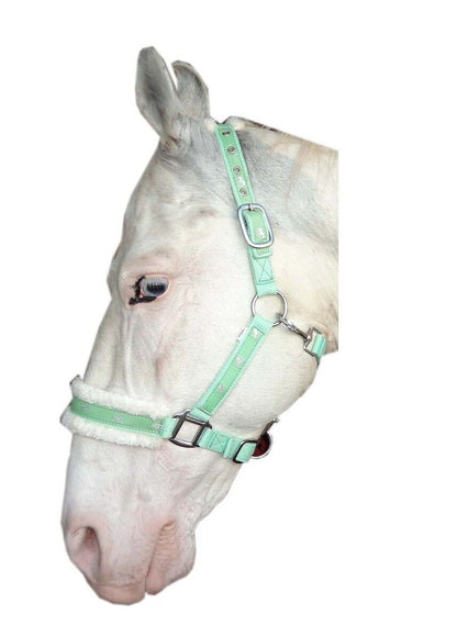 New Mink padded HORSE COB PONY Nylon Halters/Headcollar Horse Print Lead set