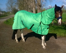 Load image into Gallery viewer, 3 DAY SALE  New Design Horse fly rug combo attached neck cover Choice of colors

