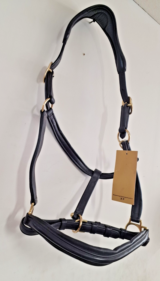 English Leather Padded Halter Headcollar BLACK Brass fittings FULL  677/19 (B 010