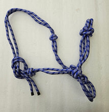 Load image into Gallery viewer, Rope Halter/Headcollar Natural Horsemanship/Parelli ONE SIZE- ROYAL BLUE/WHITE
