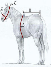 Load image into Gallery viewer, NEW NYLON + LEATHER HORSE DRIVING CART HARNESS SADDLE BRIDLE D/F/C/P/S/M
