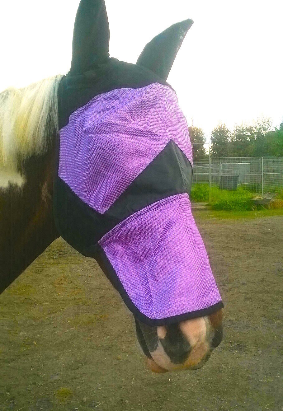 Fine Mesh Horse Cob Pony Full Face Fly Mask Hood With Ears long Nose Flap £6.99