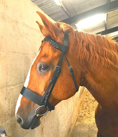 Cwell Equine English Working Hunter Show Hunt Bridle Wide 3/4" Cheeks 2" Nose