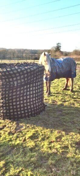 EXTRA STRONG  BALE HAYNET GREEDY FEED  6 FEET BALES  HAYLAGE JUMBO SLOW FEEDERS