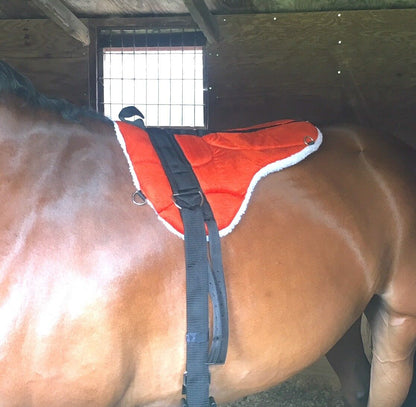 NEW HIGH DENSITY MICRO SUEDE BAREBACK PAD FREE GIRTH AND STIRRUPS SADDLE PAD