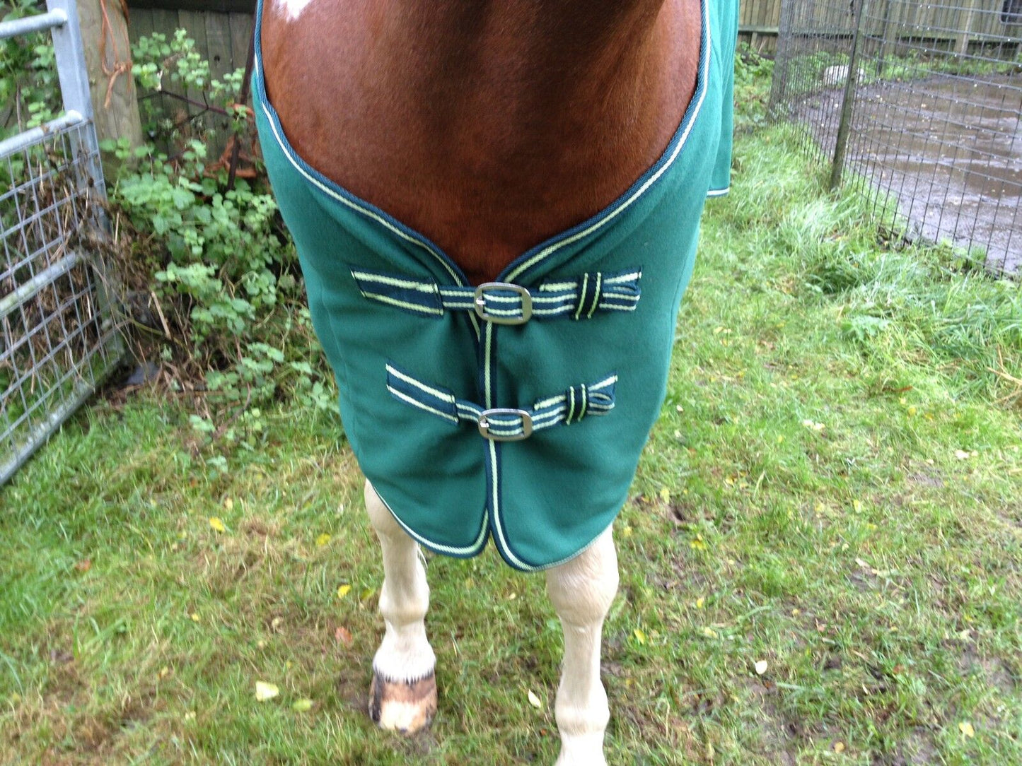 NEW HORSE COB PONY SHOW TRAVEL FLEECE RUG 3'6-7'0" stable cooler choice of color