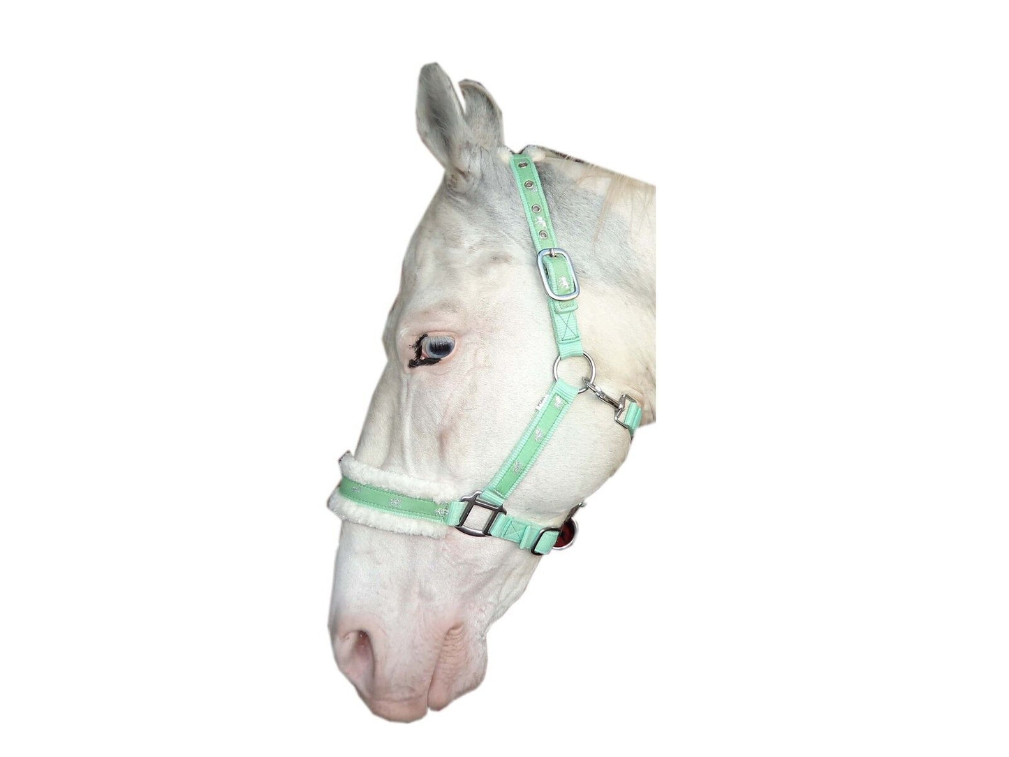 New Mink padded HORSE COB PONY Nylon Halters/Headcollar Horse Print Lead set