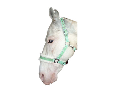New Mink padded HORSE COB PONY Nylon Halters/Headcollar Horse Print Lead set