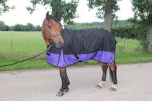 Load image into Gallery viewer, New LightWeight Black/Purple turnout rug/rain sheet no fill 600 Denier *sale*
