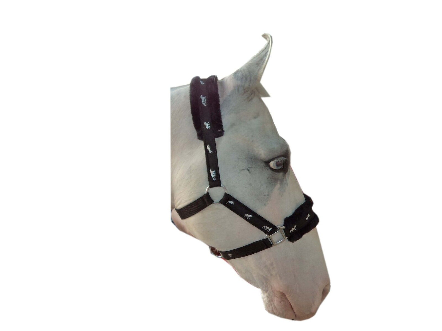 New Mink padded HORSE COB PONY Nylon Halters/Headcollar Horse Print Lead set
