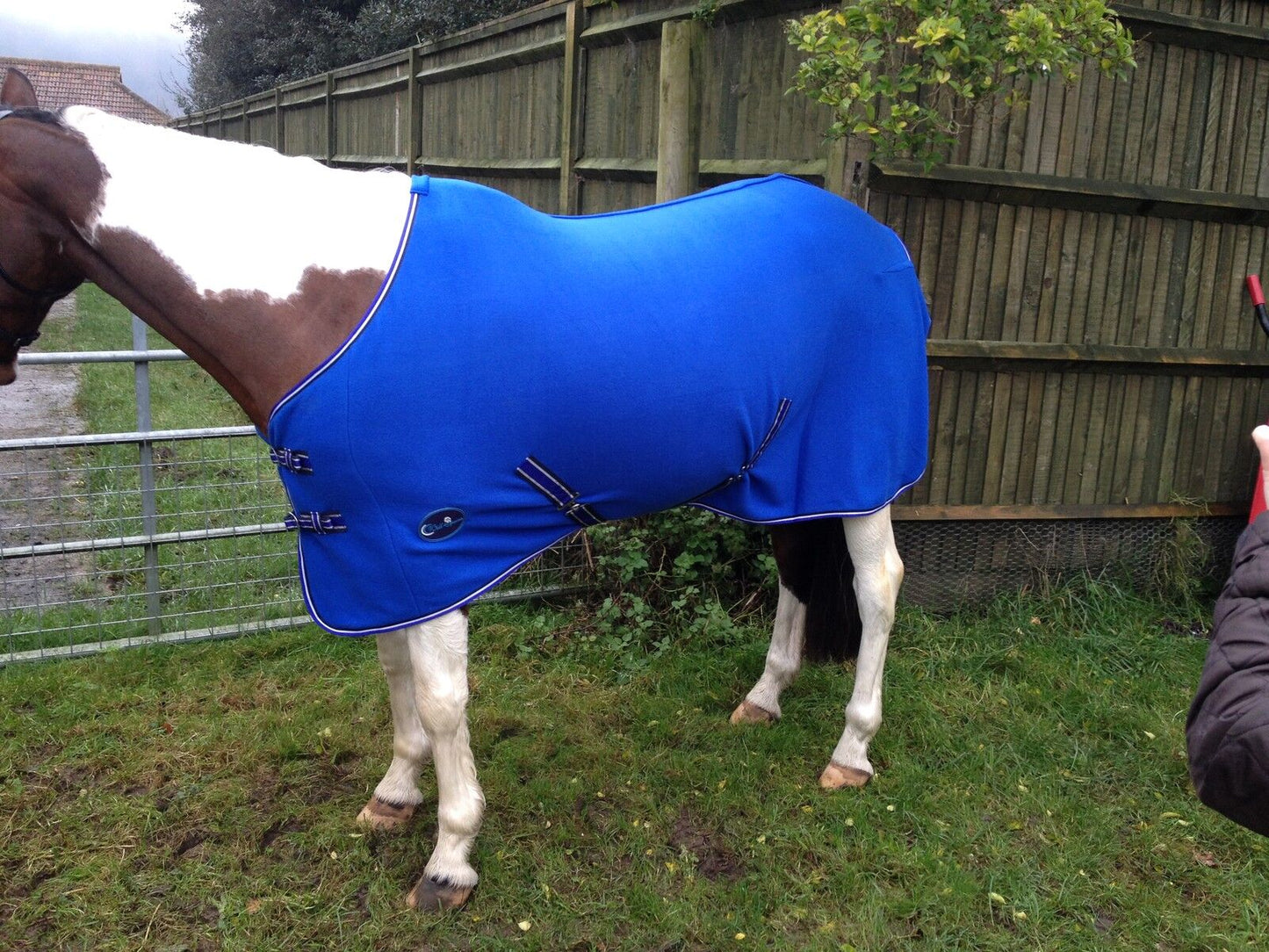 NEW HORSE COB PONY SHOW TRAVEL FLEECE RUG 3'6-7'0" stable cooler choice of color
