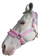 Load image into Gallery viewer, New Mink padded HORSE COB PONY Nylon Halters/Headcollar Horse Print Lead set
