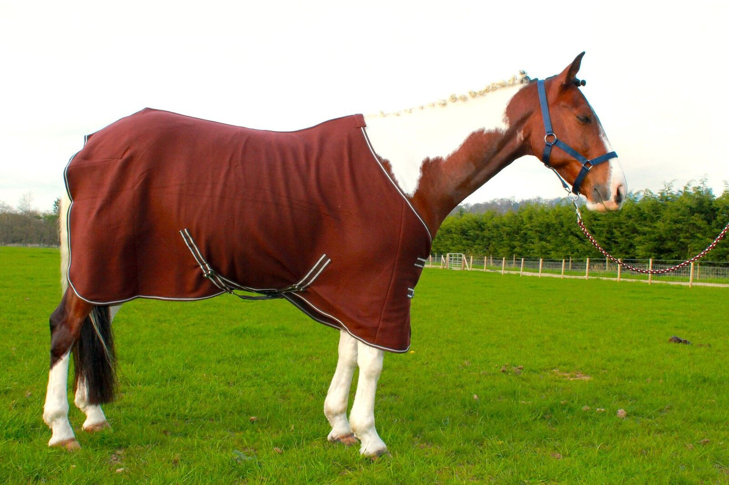 NEW HORSE COB PONY SHOW TRAVEL FLEECE RUG 3'6-7'0" stable cooler choice of color