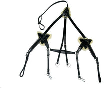 Load image into Gallery viewer, New 5 Point Breastplate + Martingale Black &amp; Brown, X Full/Full/Cob/Pony On Sale
