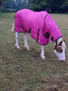 Cwell Equine Horse/Cob/Pony fly rug combo attached neck cover Pink 5'0"- 7'0"