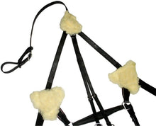 Load image into Gallery viewer, New 5 Point Breastplate + Martingale Black &amp; Brown, X Full/Full/Cob/Pony On Sale
