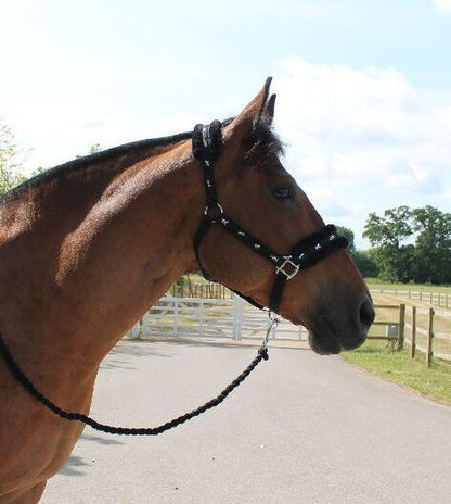 New Mink padded HORSE COB PONY Nylon Halters/Headcollar Horse Print Lead set