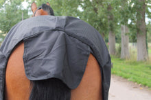 Load image into Gallery viewer, New LightWeight Black/Purple turnout rug/rain sheet no fill 600 Denier *sale*
