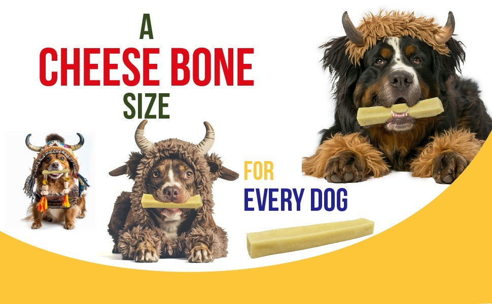 https://i.ebayimg.com/00/s/NjAwWDk3MA==/z/KtoAAeSwJARqoqk4/$_57.JPG