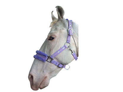 New Mink padded HORSE COB PONY Nylon Halters/Headcollar Horse Print Lead set