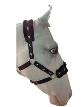 Load image into Gallery viewer, New Mink padded HORSE COB PONY Nylon Halters/Headcollar Horse Print Lead set

