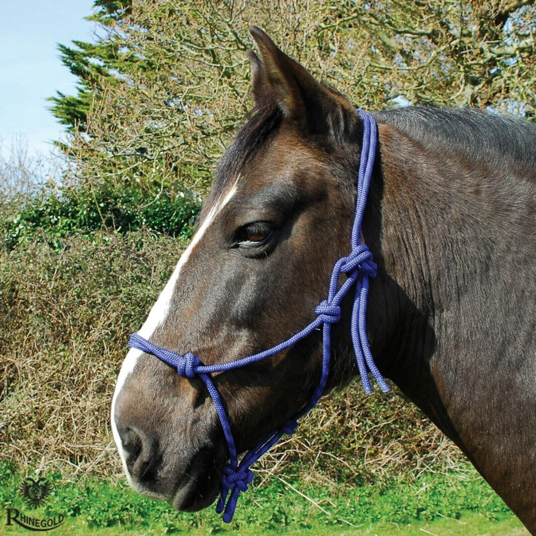 Rope Halter/Headcollar Natural Horsemanship/Parelli ONE SIZE- ROYAL BLUE