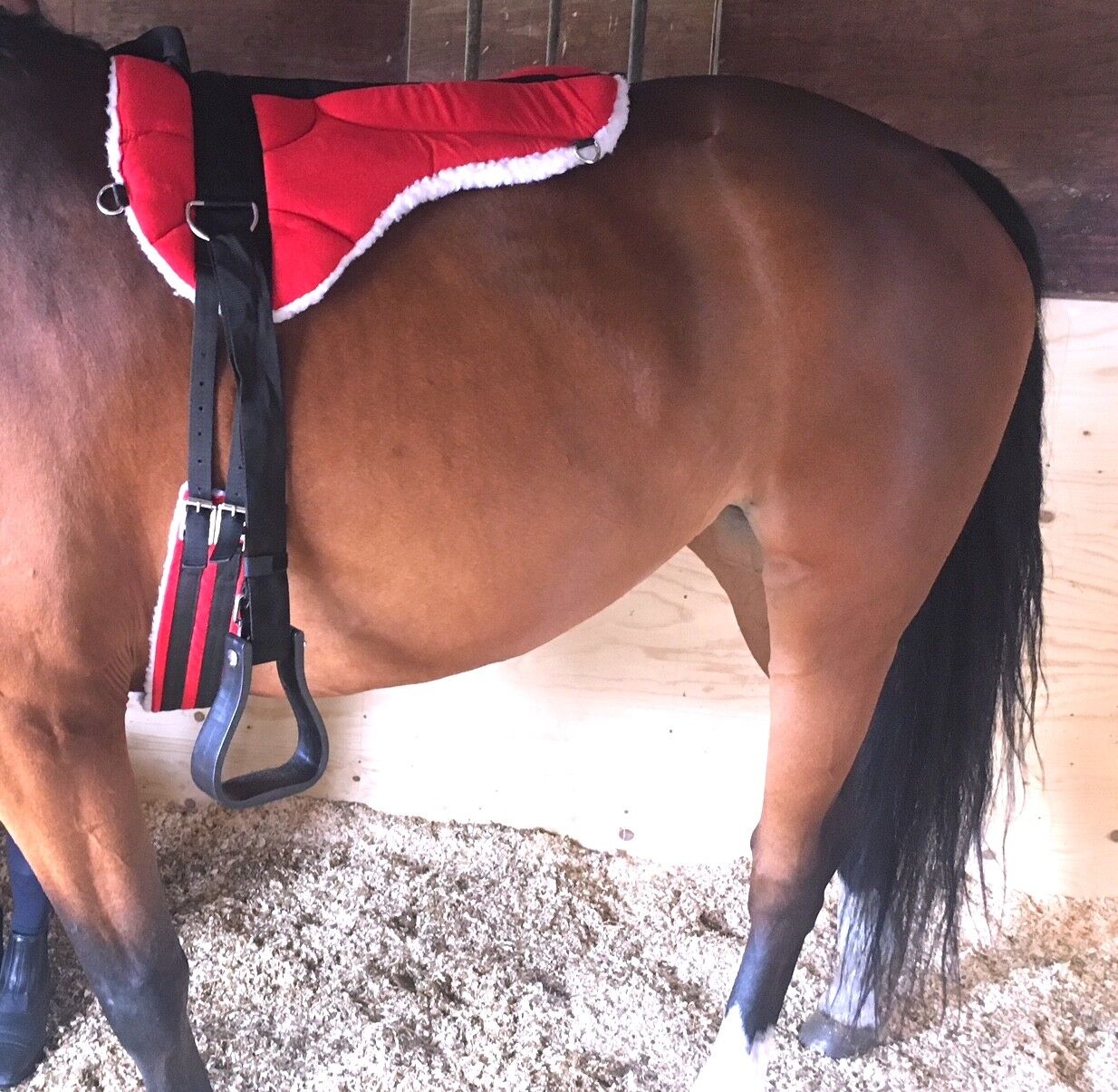 NEW HIGH DENSITY MICRO SUEDE BAREBACK PAD FREE GIRTH AND STIRRUPS SADDLE PAD
