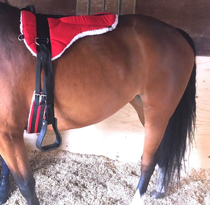 NEW HIGH DENSITY MICRO SUEDE BAREBACK PAD FREE GIRTH AND STIRRUPS SADDLE PAD