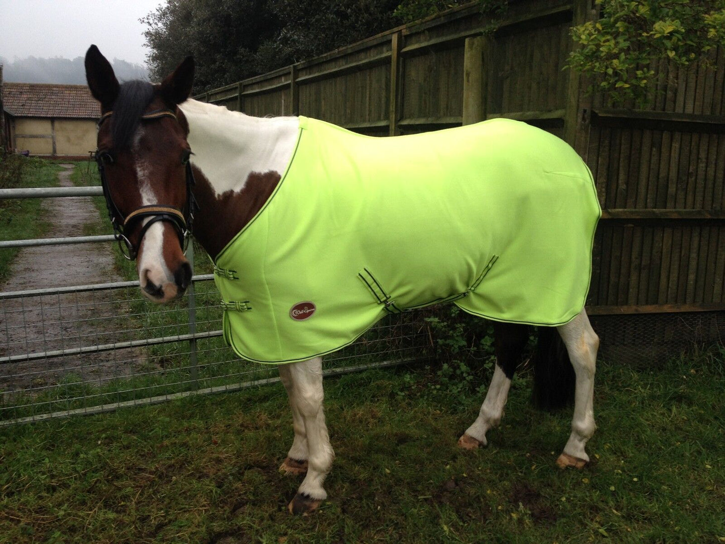 NEW HORSE COB PONY SHOW TRAVEL FLEECE RUG 3'6-7'0" stable cooler choice of color