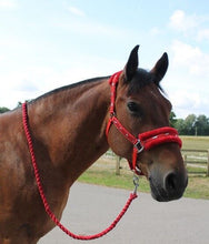 Load image into Gallery viewer, New Mink padded HORSE COB PONY Nylon Halters/Headcollar Horse Print Lead set
