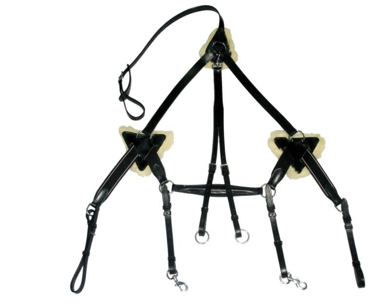 New 5 Point Breastplate + Martingale Black  Full/Cob/x full